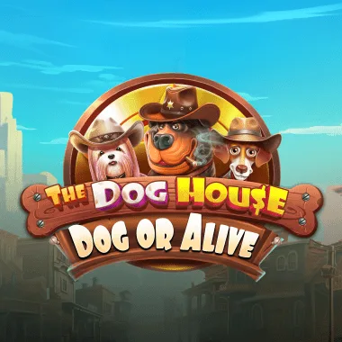 The Dog House: Dog or Alive pokie at RollXO casino